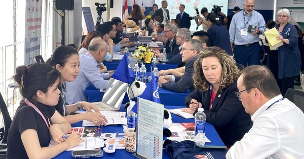 Trường ĐH Việt Nam muốn thu h&uacute;t sinh vi&ecirc;n Mỹ đến học tập