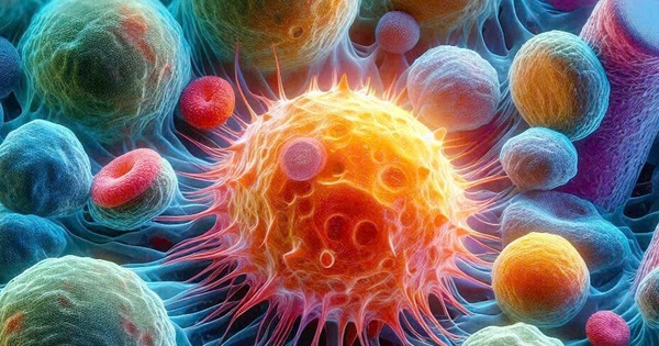 Ph&aacute;t hiện loại tr&aacute;i c&acirc;y l&agrave; &#039;khắc tinh của ung thư&#039;