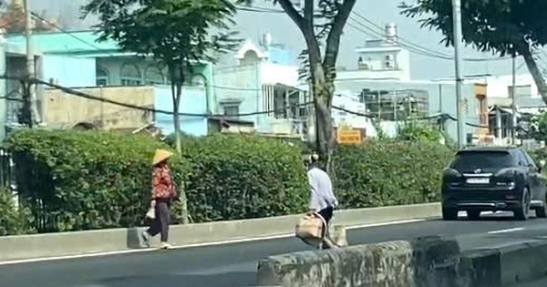 CSGT TP.HCM xử phạt nhiều người đi bộ sai quy định