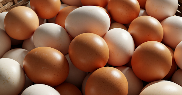 Ng&agrave;y mới với tin tức sức khỏe: Ph&aacute;t hiện lợi &iacute;ch của trứng với người lớn tuổi