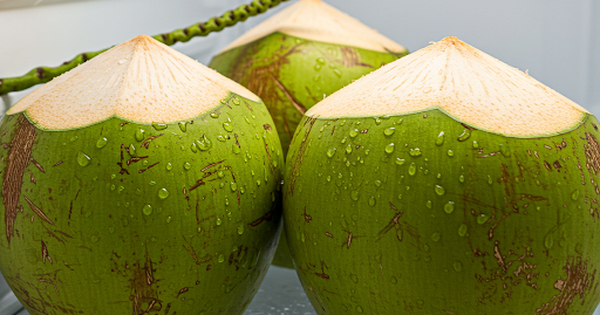Ng&agrave;y mới với tin tức sức khỏe: C&aacute;ch bảo quản nước dừa tốt nhất
