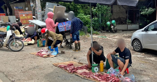Chợ cóc 'mọc' nhan nhản, bày bán thịt heo dưới lòng đường Hà Nội