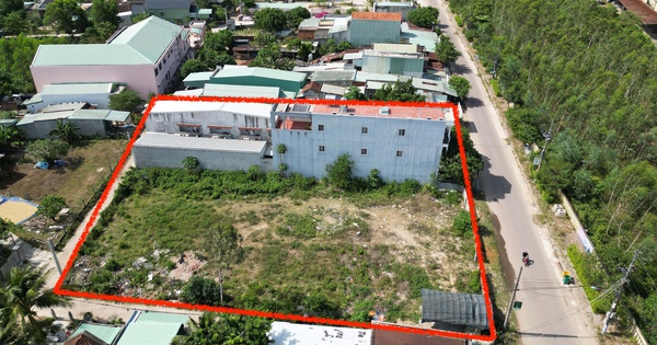 Thanh tra tỉnh Gia Lai l&agrave;m r&otilde; nghi vấn 2.500 m2 đất c&ocirc;ng bị &#039;xẻ thịt&#039;