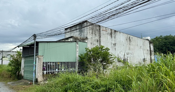 TP.HCM: X&acirc;y nh&agrave; tr&ecirc;n đất của người kh&aacute;c, nhiều năm vẫn chưa chịu trả lại