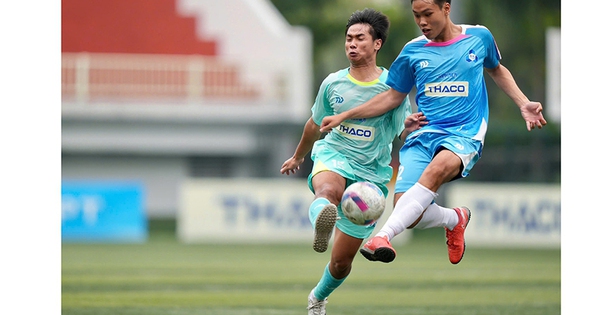 Bất ngờ thú vị