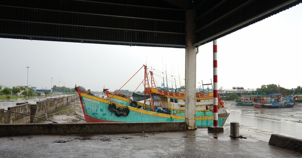 Xử lý nghiêm cán bộ nếu tàu cá không đủ điều kiện vẫn được 'ra khơi'