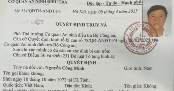 Đề nghị truy tố vắng mặt Chủ tịch HĐQT Công ty cây xanh Công Minh