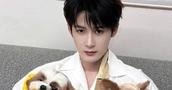 Ồn ào tình ái khiến sự nghiệp mỹ nam Đàn Kiện Thứ chao đảo