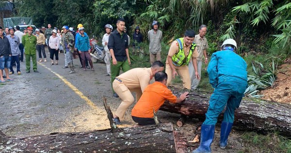 CSGT Lâm Đồng: Kéo giảm người chết do TNGT là 'chỉ tiêu hạnh phúc'