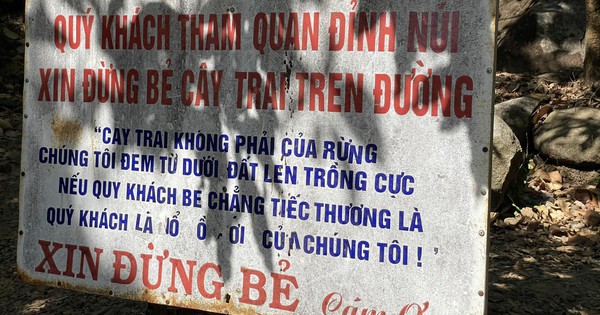 Leo núi Bà Đen thấy bảng 'check-in thì sang, hái trộm thì kém': Bạn nghĩ gì?
