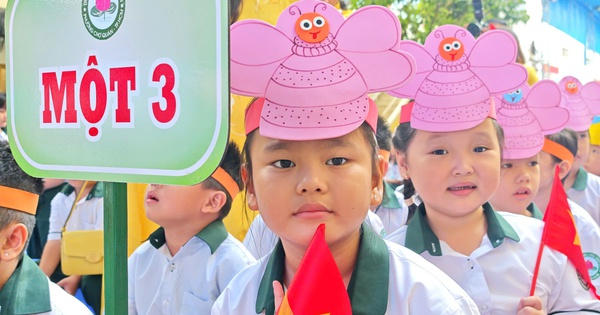 Các bước thực hiện tuyển sinh đầu cấp tại TP.HCM phụ huynh cần lưu ý