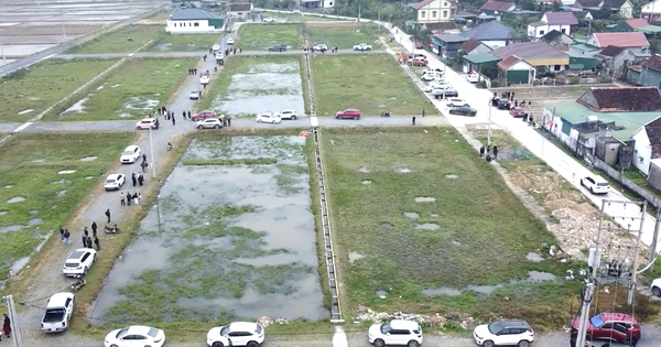 Bong bóng sốt đất