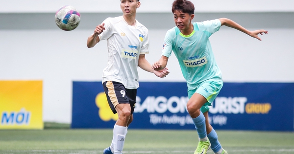 Trường ĐH RMIT - Trường ĐH Kinh tế Luật: Cơ hội để bứt lên