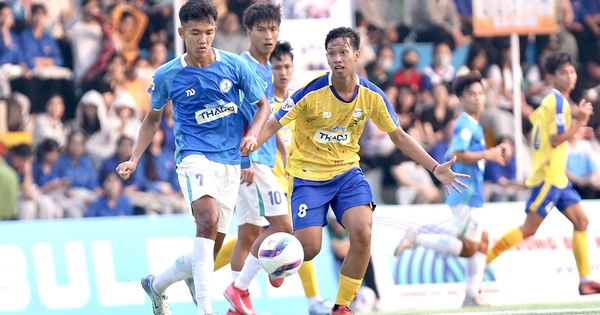 Niềm vui của xứ sen hồng