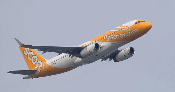 Tiếp viên hàng không 366 lần chiếm đoạt tiền bán đồ ăn, thức uống trên máy bay