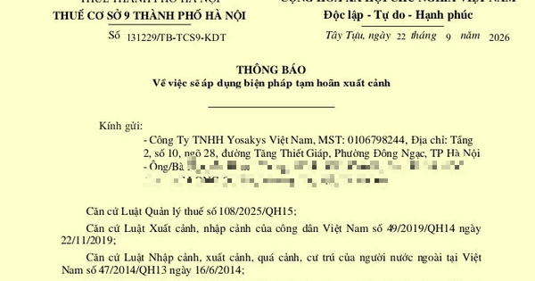 'Mất ăn mất ngủ’ vì bỗng dưng đứng tên doanh nghiệp rồi bị tạm hoãn xuất cảnh