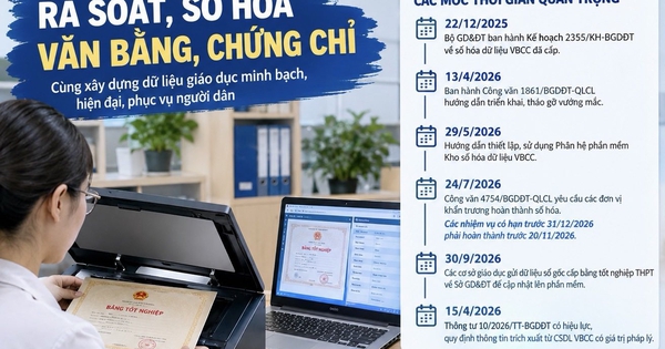 TP.HCM rà soát, chuẩn hóa dữ liệu bằng tốt nghiệp THPT từ năm 1985 đến nay