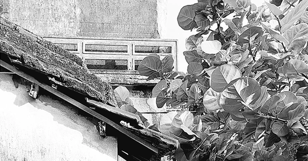 Triển lãm 'Thiên di': Những khoảnh khắc hữu hạn qua ảnh đen trắng
