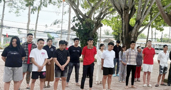 Đường dây lừa đảo vàng ảo chiếm đoạt 26,5 tỉ đồng: 24 bị can sa lưới