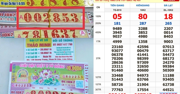 Xổ số miền Nam ngày 11 tháng 10: Tìm người trúng số đài Đà Lạt