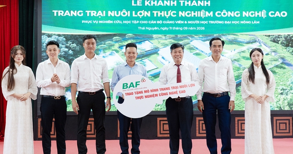 BAF Việt Nam: Đầu tư giáo dục thực tiễn, kiến tạo sinh kế bền vững