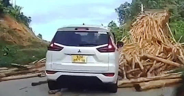 Xe tải chở gỗ keo đổ tràn xuống đèo Liêu, ô tô thoát nạn trong gang tấc