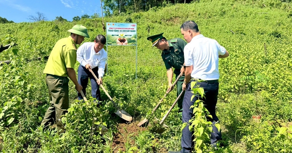 Hành trình lan tỏa “Happy Society” của Acecook Việt Nam: Từ môi trường đến cộng đồng