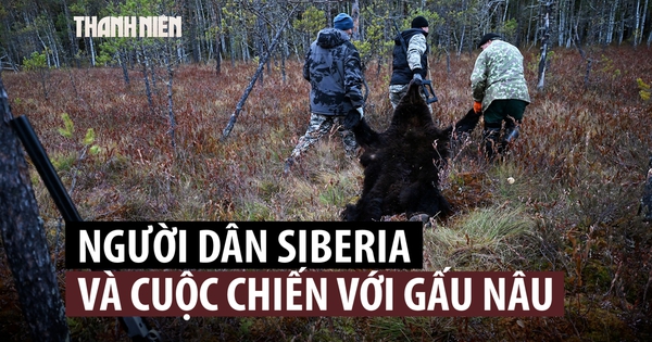 Gấu 'lộng hành', thợ săn Siberia quyết định hành động