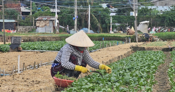 Khôi phục sinh kế, chủ động trước mùa lũ