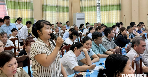 Cử tri TP.HCM đề nghị xem xét chính sách thuế chuyển mục đích, tách thửa đất