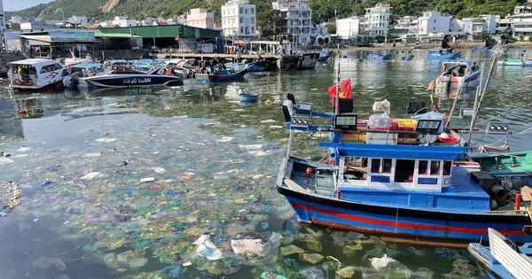 Khánh Hòa buộc chủ lồng bè không xả thải ra biển