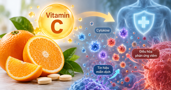 Nghiên cứu: Vitamin C có thể giúp ngăn ung thư máu từ giai đoạn sớm?