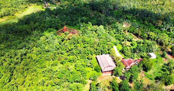 Bức thư hé lộ nơi chôn cất 7 liệt sĩ trong thung lũng di sản Mỹ Sơn