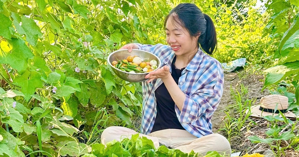 Cô gái Việt cải tạo mảnh đất hoang ở Nhật thành vườn rau xanh mướt
