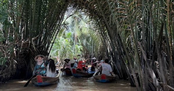 Đồng Tháp làm mới sản phẩm, nâng tầm du lịch đất sen hồng