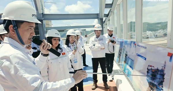 Khởi động khảo sát điện gió công suất 500 MW ngoài khơi tại TP.HCM