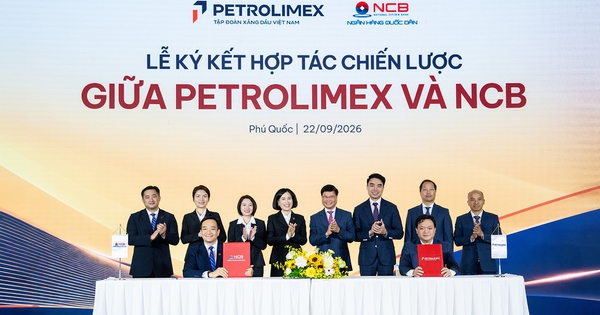 NCB và Petrolimex hợp tác chiến lược, kết nối hệ sinh thái năng lượng - tài chính