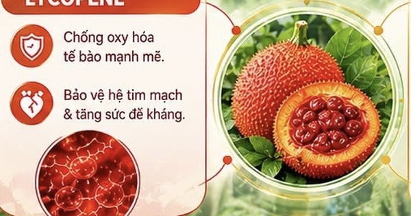 Dược chất bảo vệ tim mạch có trong quả gấc Việt Nam