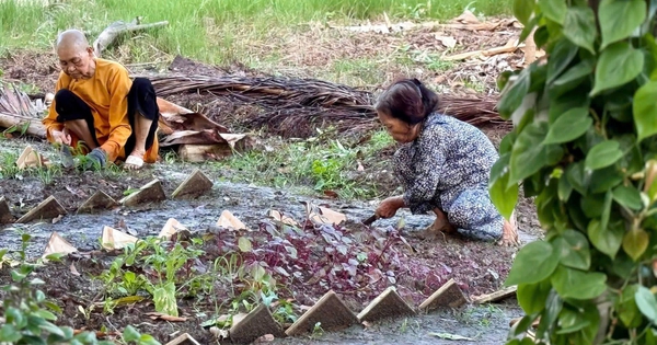 Nhập thế của người con Phật