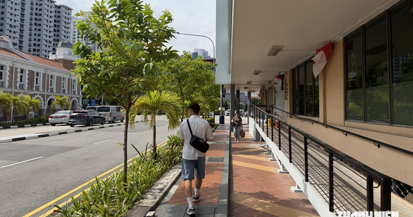 Khói mù phủ Singapore, tour Việt ra sao?