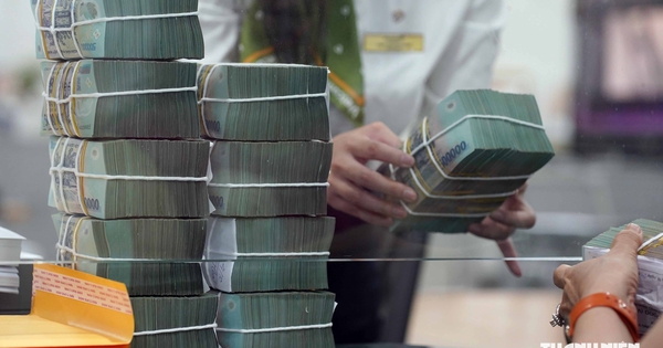 Nữ kế toán 'không biết gì' vẫn ký 120 lệnh, 'tuồn' 30 triệu USD qua biên giới