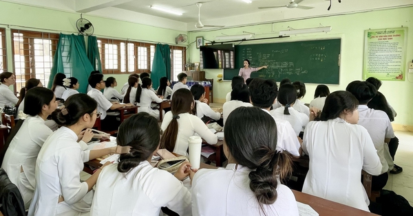 Gia Lai: 1.900 viên chức giáo dục trúng tuyển thăng hạng năm 2026