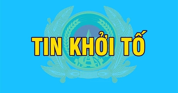 Khởi tố phó tổng giám đốc công ty vận tải biển về tội trộm cắp tài sản
