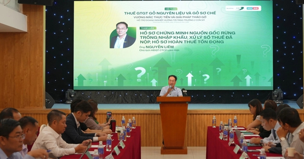 'Vướng' xác định nguồn gốc, doanh nghiệp gỗ kêu trời vì thiếu nguyên liệu