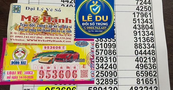 Trúng 2 tỉ xổ số miền Nam, cụ bà ở TP.HCM định về quê ăn tết lớn