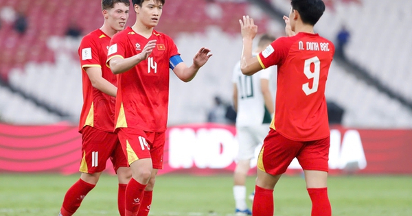 Asian Cup có thể bị hoãn, Việt Nam phải làm gì để không bị văng khỏi tốp 100 thế giới?