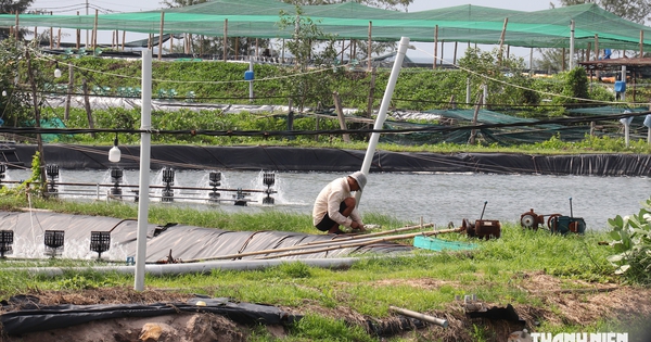 Khu công nghiệp Sơn Mỹ 1 tăng tốc giải phóng mặt bằng