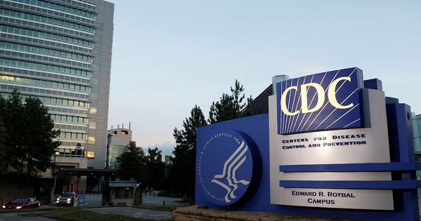 CDC: Bệnh nhiễm nấm xâm nhập não gây tử vong cao đang tăng tại Mỹ