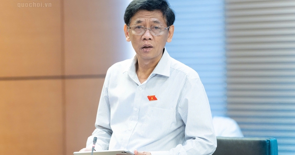 Bỏ cọc đấu giá đất, có thể bị cấm tham gia tới 5 năm