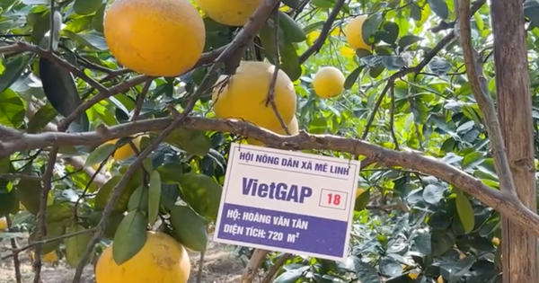 Hà Nội đẩy mạnh khoa học công nghệ, nâng cao chất lượng sống nông thôn